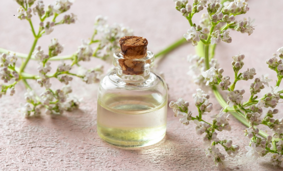 What Are Terpenes? And Why We Use Them in Our Candles